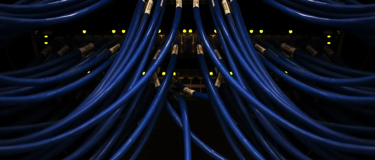 A tangle of blue network cables connected to a server rack